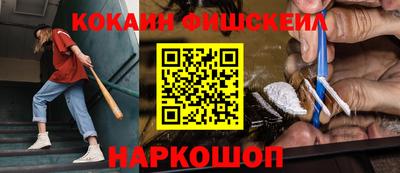 индика Сланцы