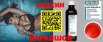 индика Сланцы