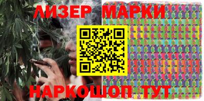 индика Сланцы
