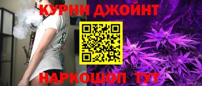 индика Сланцы