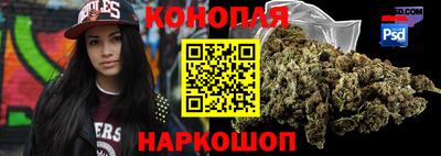 индика Сланцы
