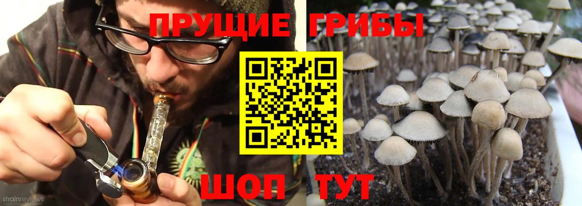 Галлюциногенные грибы Psilocybine cubensis  Вход с VPN  Муравленко 